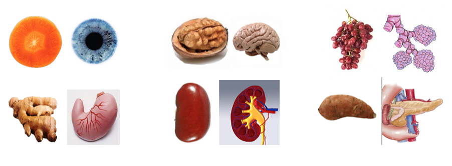 Image adapted from www.livelovefruit.com