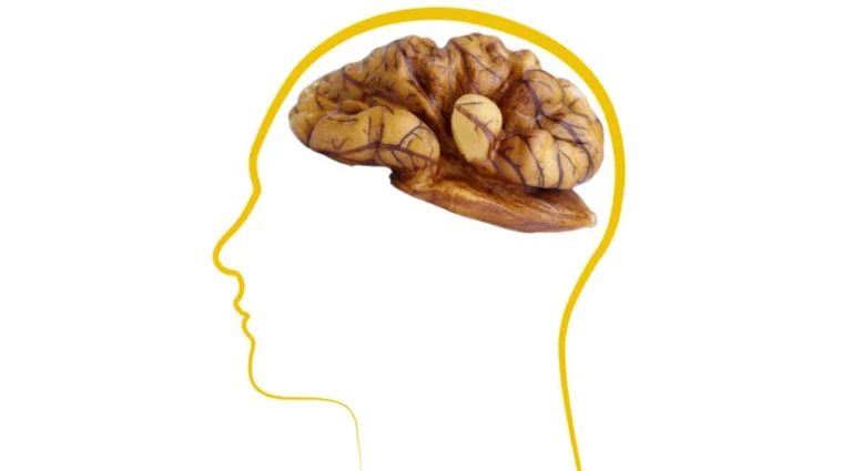 Close-up image of a walnut showing texture and details
