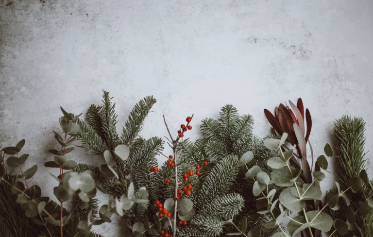 Tips for maintaining health during the holiday season