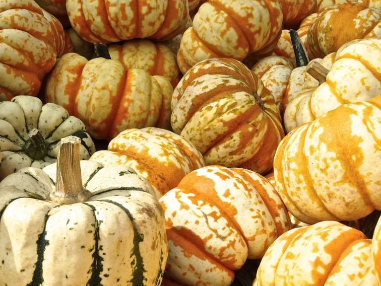 Decorative structure made of pumpkins and gourds arranged artfully